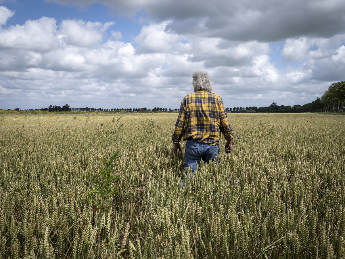 T.b.v. Upfarming © David Galjaard Akkerbouwer DSF9263 © David Galjaard