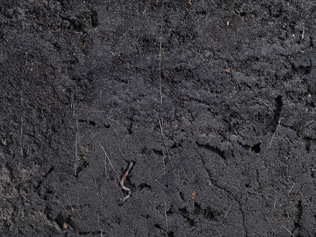 T.b.v. Upfarming © David Galjaard Hardebol grond DSF4346 © David Galjaard