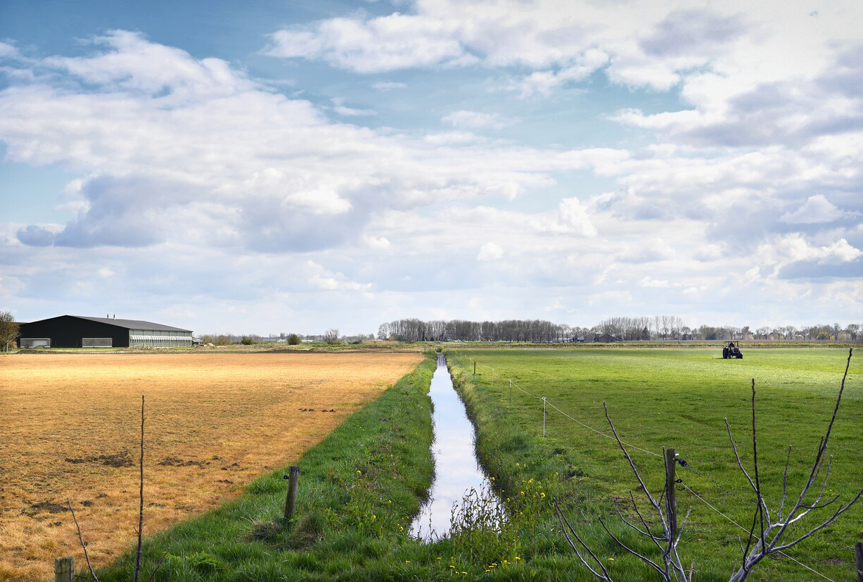 links-een-met-glyfosaat-bespoten-weiland-rechts-prepareert-een links een met glyfosaat bespoten weiland rechts prepareert een