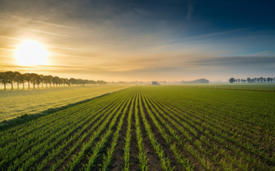 Whitepaper: De toekomst van de landbouw is regeneratief